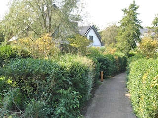 Park