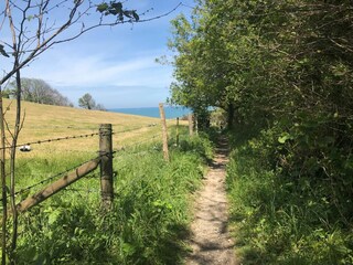 Casa per le vacanze Varengeville-sur-Mer Ambiente 30