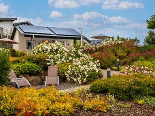 View to the pool-house