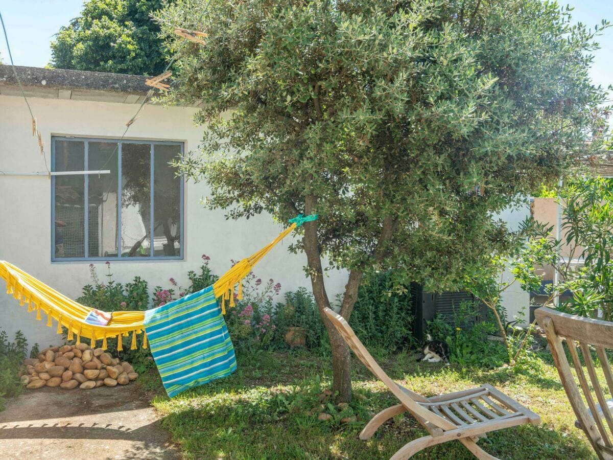 Ferienhaus Bedoin Außenaufnahme 1