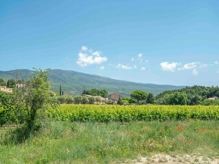 Casa de vacaciones Bedoin Entorno 40