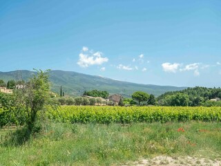 Vakantiehuis Bedoin Omgeving 37