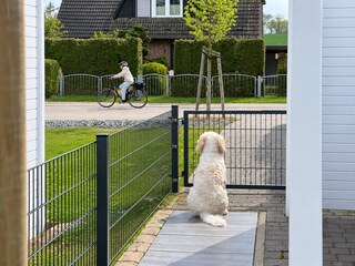 Hundefreundliches Ferienhaus, eingezäunter Garten