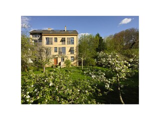 Baumblüte kommt!