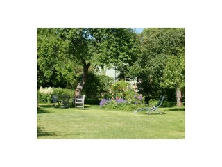 Unser Garten im Sommer