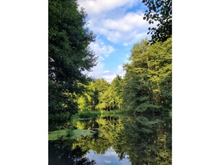 Schwanenteich in Hoppenrade