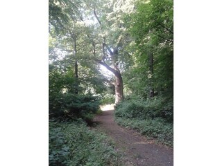der Landschaftspark Hoppenrade