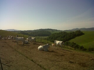 Idyllische Landschaft