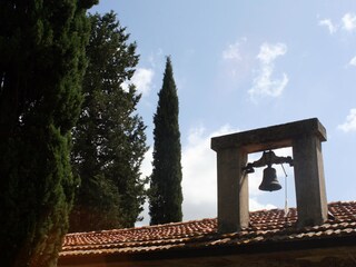 Explore the surroundings