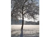 Winteransicht