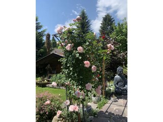 Apartamento de vacaciones Rieden am Forggensee Características 24