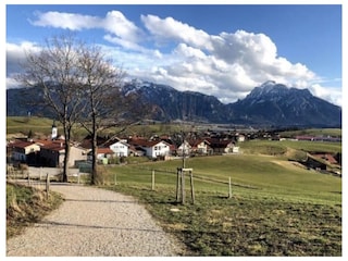 Vakantieappartement Rieden am Forggensee Omgeving 25