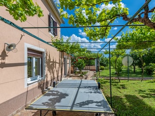 Tischtennis spielen im Schatten der Weinreben