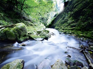 Appartamento per vacanze Lautenbach Ambiente 19