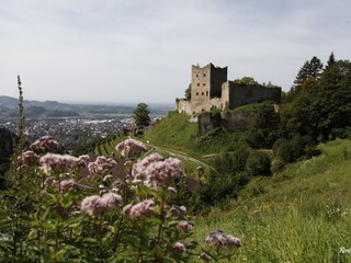 Schauenburg