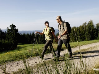 Wandern im Renchtal