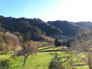 Ausblick vom Heimatglück