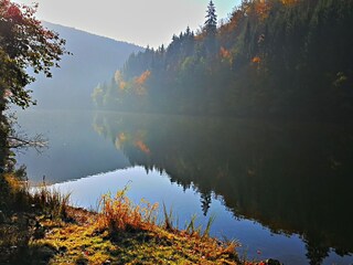 Appartamento per vacanze Frauenwald Ambiente 25