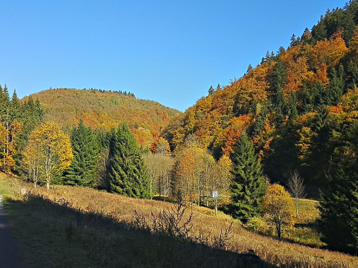 Im Tränkbachtal