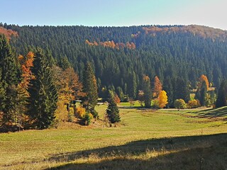 Appartamento per vacanze Frauenwald Ambiente 27