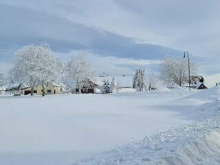 Appartamento per vacanze Frauenwald Ambiente 29
