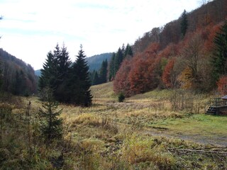 Appartamento per vacanze Frauenwald Ambiente 21