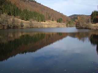 Appartamento per vacanze Frauenwald Ambiente 22