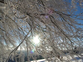 Appartamento per vacanze Frauenwald Ambiente 23