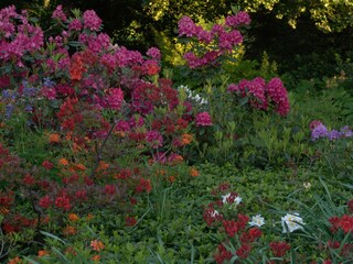 Appartamento per vacanze Frauenwald Ambiente 24