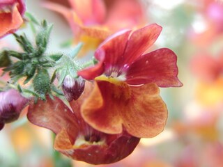 Appartamento per vacanze Frauenwald Registrazione all'aperto 4