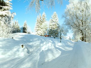 Appartamento per vacanze Frauenwald Registrazione all'aperto 5