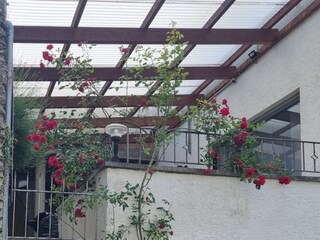 Vakantieappartement Briedel Kenmerken 13