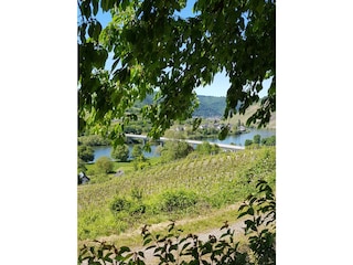 Vakantieappartement Briedel Omgeving 15