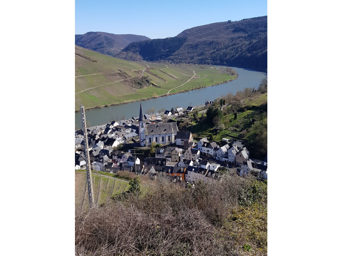 Blick von den Weinbergen auf Briedel