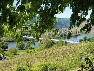 Appartamento per vacanze Briedel Ambiente 17