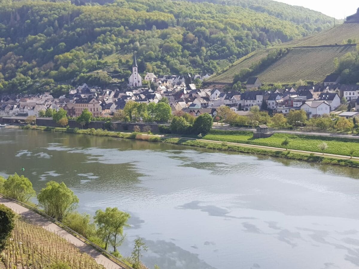 Blick von den Weinbergen