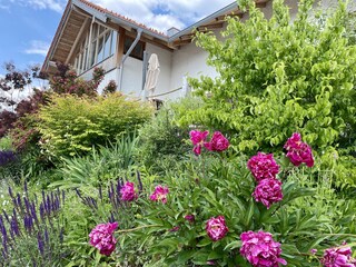 Appartement de vacances Chieming Enregistrement extérieur 5