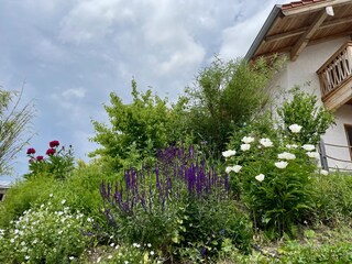 Appartamento per vacanze Chieming Registrazione all'aperto 4