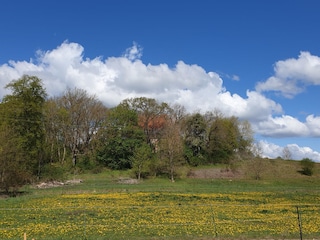 Blick aus dem Garten