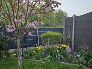 Holiday house Alt Schönau Outdoor Recording 1