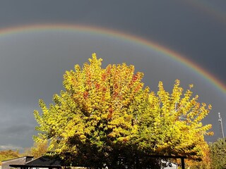 Holiday house Alt Schönau Outdoor Recording 16