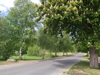 Holiday house Alt Schönau Outdoor Recording 9