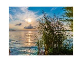 Holiday house Alt Schönau Environment 29