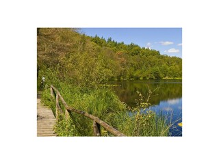 Holiday house Alt Schönau Environment 30