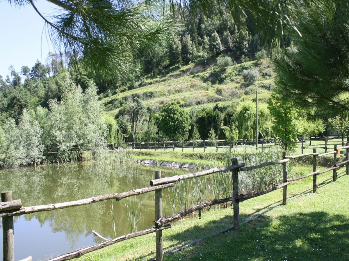 Ferienhaus Montopoli in Val d'Arno Umgebung 38