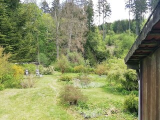 Vakantiehuis Altenau im Oberharz Buitenaudio-opname 6