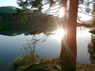 Holiday house Altenau im Oberharz Environment 28