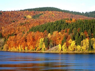 Ferienhaus Altenau im Oberharz Umgebung 29