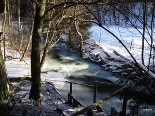Holiday house Altenau im Oberharz Environment 31