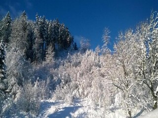 Vakantiehuis Altenau im Oberharz Omgeving 28
